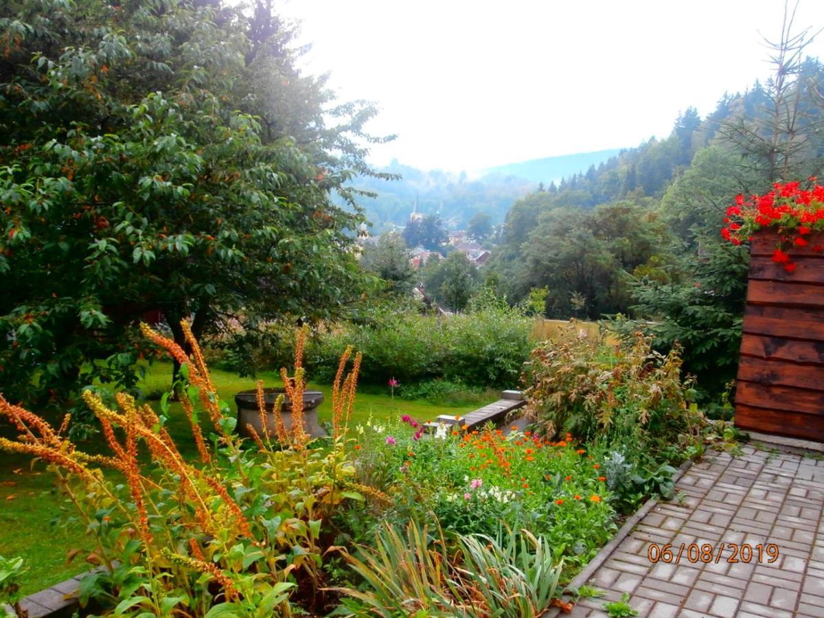 Apartman Aya Janov nad Nisou Exterior foto